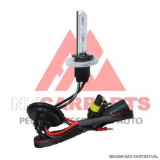 LÂMPADA XÉNON H1 35W 12-24V - 6000K